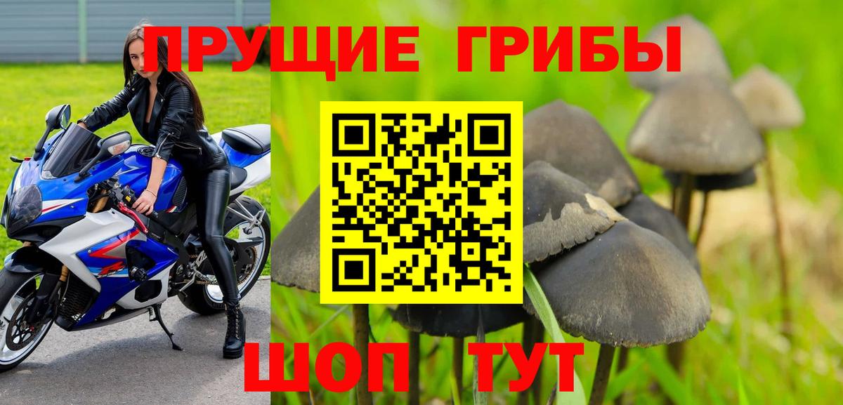 Псилоцибиновые грибы Magic Shrooms Губкинский